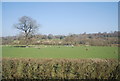 Farmland near Groombridge