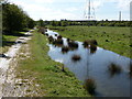 Woodhouse Wetlands nature reserve