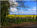 Footpath from Mathern Road