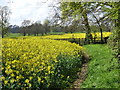 Footpath from Mathern Road, Chepstow