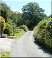 Minor road east of Heol Cennen, Ffairfach