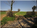 Field boundary by Stainley Lane