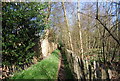 Footpath to Stone Street Rd