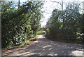 Farm track off Stone Street Rd