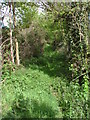 Footpath, Ruxbury Farm