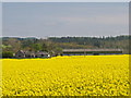 Farmland near Forteviot