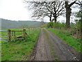 Track below Pontesford Hill