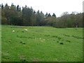 Path and stile into part of Brown