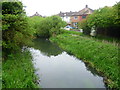 River Wandle from footbridge near Buckhurst Avenue