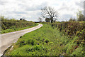 Rural lane nr Cross Park