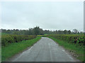 Banbury Lane south of Culworth