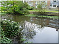 The western branch of the River Wandle at Dale Park Recreation Ground