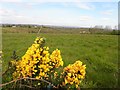 Beltany Townland