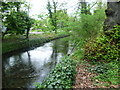 River Wandle near Culvers Avenue