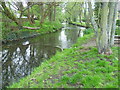 River Wandle near Culvers Avenue