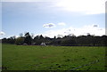 Farmland near Stone Street