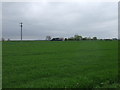 Farmland towards Fen Farm