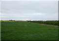 Farmland off Doddington Lane