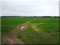 Footpath over field, Dry Doddington