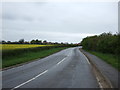 Road towards Hougham