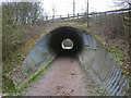 Subway beneath A658