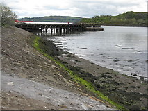 NT1382 : East Ness Pier, Inverkeithing by M J Richardson
