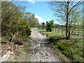 Sussex Border Path by the gateway to Home Park