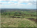 Hartshead Pike to Manchester