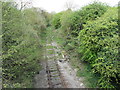 Overgrown railway sidings at Tytherington Quarry