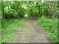 Part of the Severn Way near Ditherington, Shrewsbury