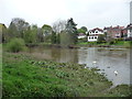 Part of the Severn at Shrewsbury