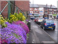 A splash of colour in Sharrow Lane