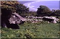 Tan y Muriau Burial Chamber