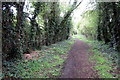 Path towards Brinklow