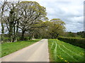 A minor road at Skelton Woodend