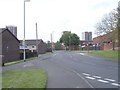 Green Lane - viewed from Hall Lane