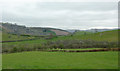 Pasture on a dull day near Glandulas, Powys