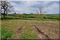 From Moisty Lane looking across towards Woodland Hall