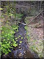 Stanley Burn north of Moor Road