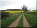 Robin Hood Lane, Winkburn