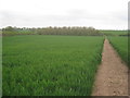 Footpath to Maplebeck