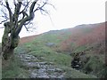 NY3904 : Path to Wansfell Pike by Graham Robson