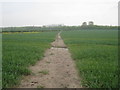 Footpath to Winthorpe