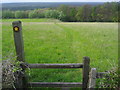 Public footpath on the Hog