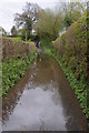 Standing water on a country road