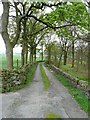 Driveway to Lower Butterworth, Norland