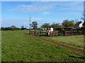 Play area in Stanford