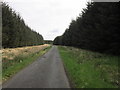 NY6773 : The road to Butterburn near Catches Rigg by Ian S