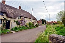 ST4528 : Pitney:  Road through the Village by Mr Eugene Birchall