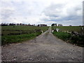 The farm road to Watch Hall & Snowden Close Farms